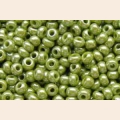 Бисер PRECIOSA 58430 оливковый 50 гр. (№10)